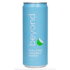 Natural Coconut Water 310ml