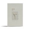 Love Tea Chamomile 50 Pyramid | 100g