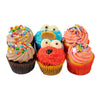 Mixed Cupcakes 6Pk-Indulgence-FIG-iPantry-australia