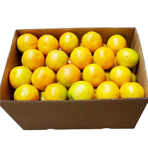 Oranges / Juicing - Case (15Kg)-Granieri's-iPantry-australia