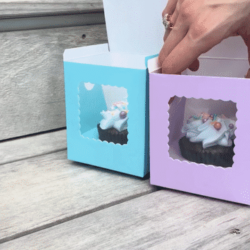 Scalloped Single Cupcake Box (Pack Of 6) - Mixed - PAPYRUS