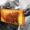 Vallentine's Honey | 250g